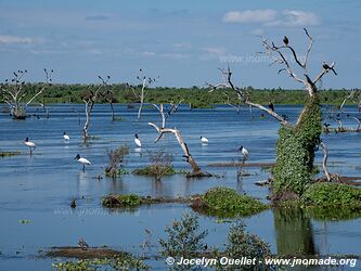Reserva Natural Bañado la Estrella - Argentine