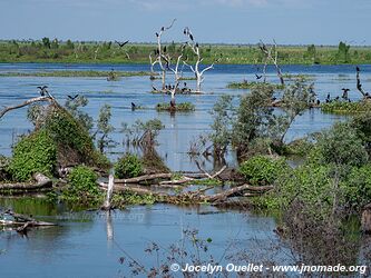 Reserva Natural Bañado la Estrella - Argentine