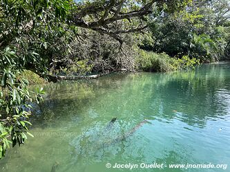 Rio Formoso - Bonito - Brésil