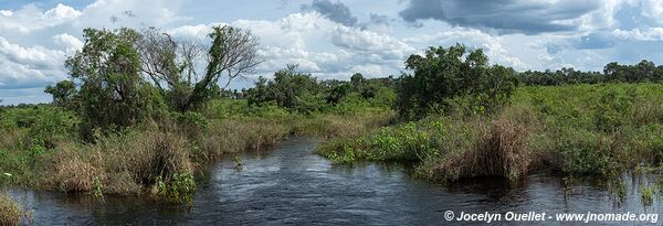Estrada Parque Pantanal - Pantanal - Brésil
