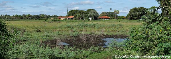 Estrada Parque Pantanal - Pantanal - Brésil