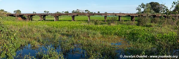 Estrada Parque Pantanal - Pantanal - Brésil