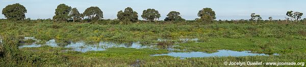 Estrada Parque Pantanal - Pantanal - Brésil