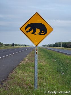 Route de Pozo Colorado à Filadelfia - Paraguay
